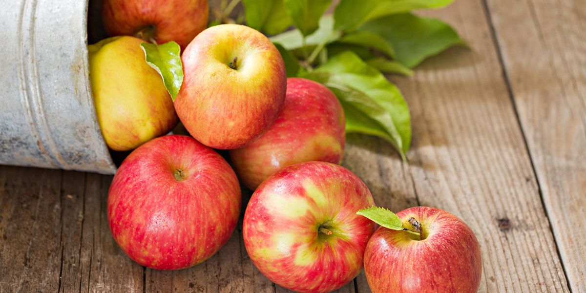 ¿Por qué se recomienda el consumo de pectina en la fibra de manzana?
