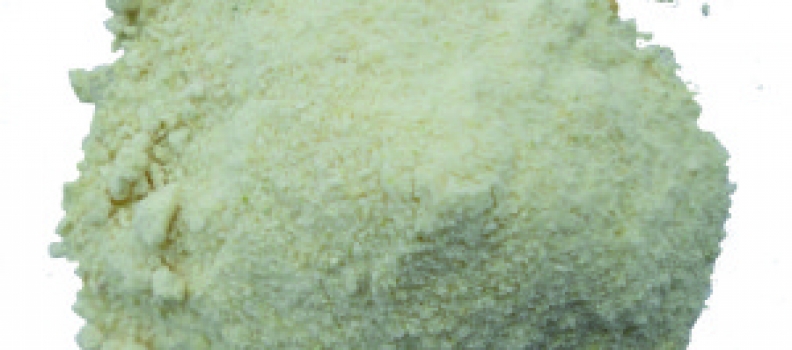 Cebolla en polvo: procesos de conservación