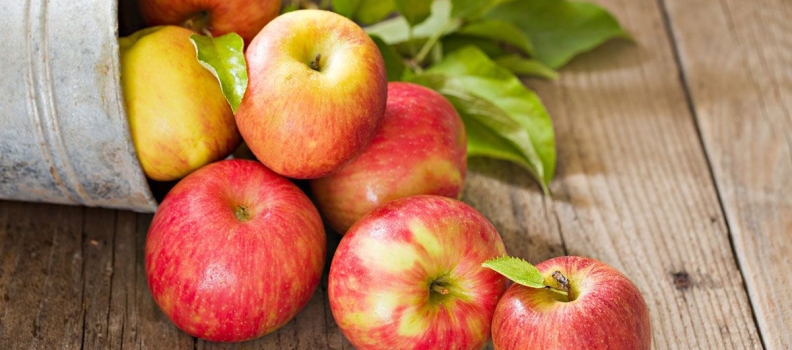 ¿Por qué se recomienda el consumo de pectina en la fibra de manzana?